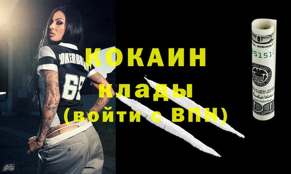 ПСИЛОЦИБИНОВЫЕ ГРИБЫ Ельня