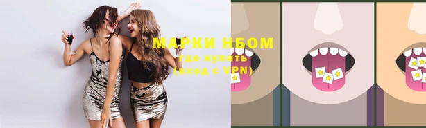 ПСИЛОЦИБИНОВЫЕ ГРИБЫ Ельня