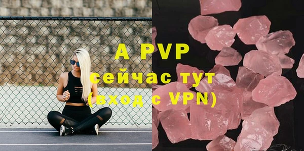 ПСИЛОЦИБИНОВЫЕ ГРИБЫ Ельня