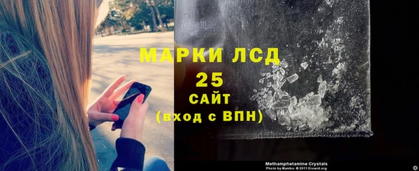 ПСИЛОЦИБИНОВЫЕ ГРИБЫ Ельня