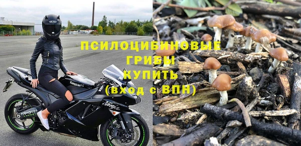 ПСИЛОЦИБИНОВЫЕ ГРИБЫ Ельня