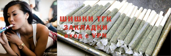 ПСИЛОЦИБИНОВЫЕ ГРИБЫ Ельня