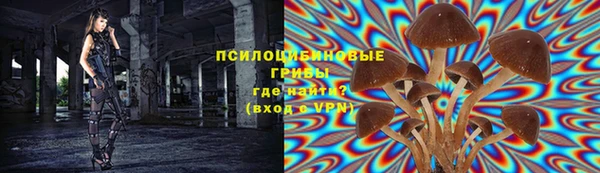 СК Елабуга