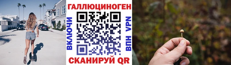 Галлюциногенные грибы GOLDEN TEACHER  Махачкала 