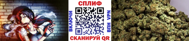 OMG ссылка Махачкала Бошки марихуана тримм